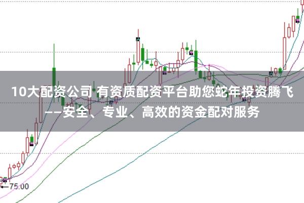 10大配资公司 有资质配资平台助您蛇年投资腾飞——安全、专业、高效的资金配对服务