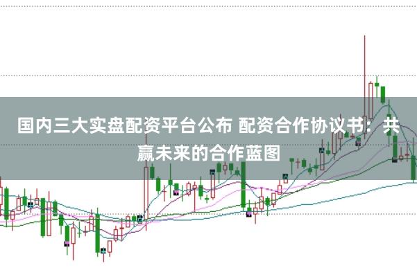 国内三大实盘配资平台公布 配资合作协议书:共赢未来的合作蓝图