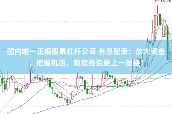 国内唯一正规股票杠杆公司 有息配资：放大资金，把握机遇，助您投资更上一层楼！