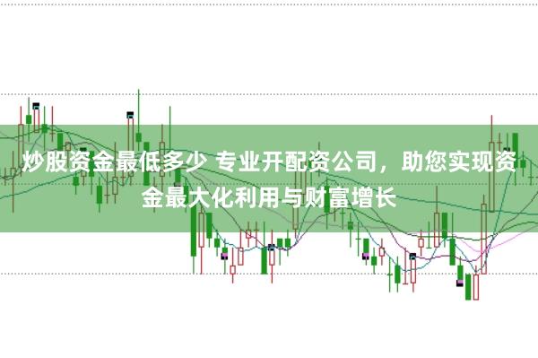 炒股资金最低多少 专业开配资公司，助您实现资金最大化利用与财富增长