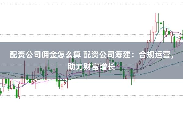 配资公司佣金怎么算 配资公司筹建：合规运营，助力财富增长
