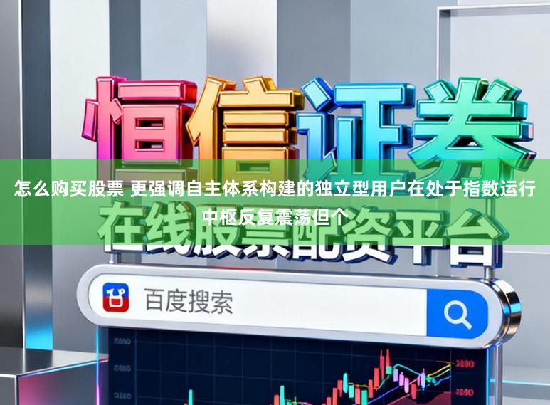 怎么购买股票 更强调自主体系构建的独立型用户在处于指数运行中枢反复震荡但个