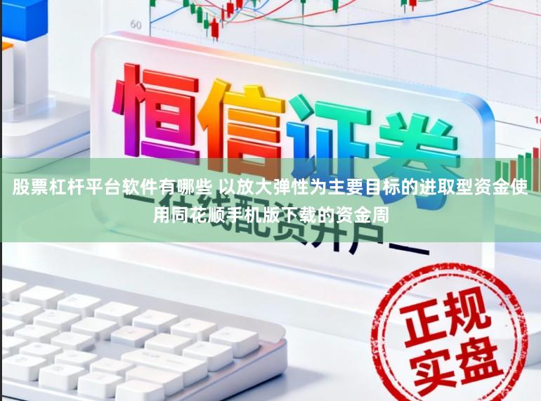 股票杠杆平台软件有哪些 以放大弹性为主要目标的进取型资金使用同花顺手机版下载的资金周