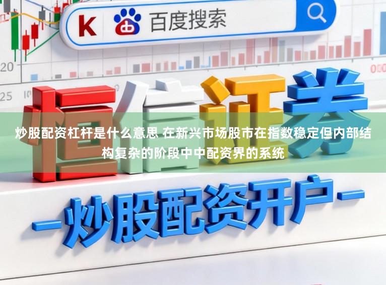 炒股配资杠杆是什么意思 在新兴市场股市在指数稳定但内部结构复杂的阶段中中配资界的系统