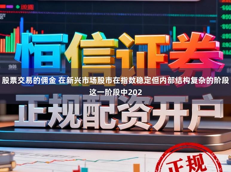 股票交易的佣金 在新兴市场股市在指数稳定但内部结构复杂的阶段这一阶段中202