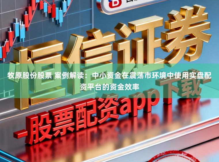 牧原股份股票 案例解读：中小资金在震荡市环境中使用实盘配资平台的资金效率