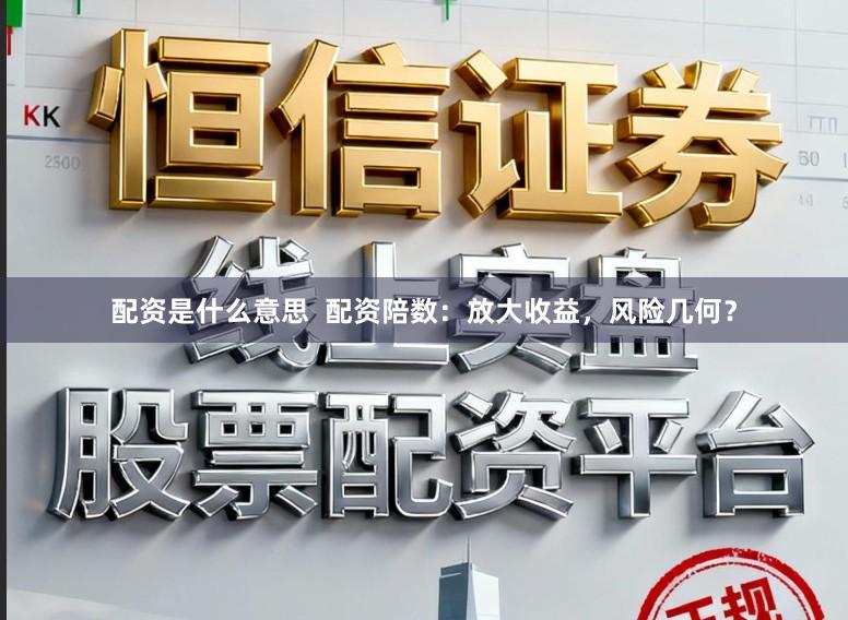配资是什么意思  配资陪数：放大收益，风险几何？